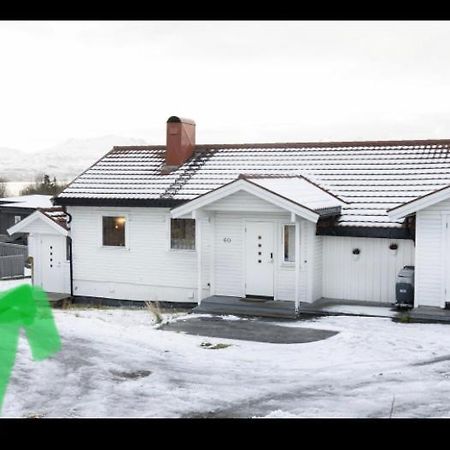 Lovely One Bedroom Apartment Тромсё Экстерьер фото